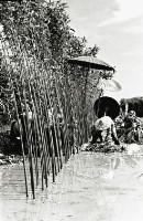 登錄號:KH2006.014.0144藏品圖，第1張