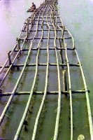 登錄號:KH2006.014.0147藏品圖，第1張