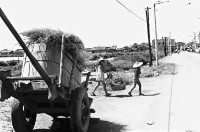 登錄號:KH2006.014.0148藏品圖，第1張