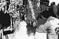 登錄號:KH2006.014.0152藏品圖，第1張