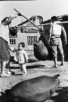 登錄號:KH2006.014.0154藏品圖，第1張