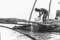 登錄號:KH2006.014.0158藏品圖，第1張