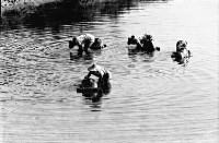 登錄號:KH2006.014.0161藏品圖，第1張