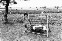 登錄號:KH2006.014.0164藏品圖，第1張