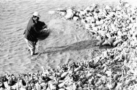 登錄號:KH2006.014.0167藏品圖，第1張