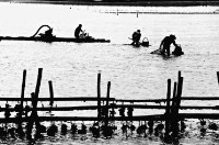 登錄號:KH2006.014.0171藏品圖，第1張