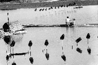 登錄號:KH2006.014.0173藏品圖，第1張