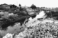 登錄號:KH2006.014.0179藏品圖，第1張