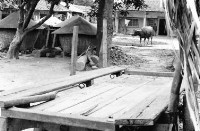 登錄號:KH2006.014.0182藏品圖，第1張