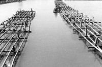 登錄號:KH2006.014.0199藏品圖，第1張