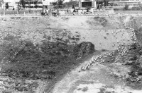 登錄號:KH2006.014.0212藏品圖，第1張