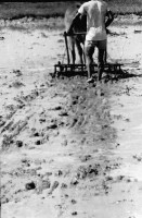 登錄號:KH2006.014.0221藏品圖，第1張