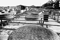 登錄號:KH2006.014.0230藏品圖，第1張