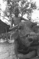 登錄號:KH2006.014.0245藏品圖，第1張