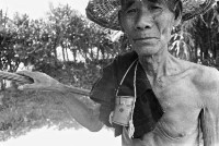 登錄號:KH2006.014.0246藏品圖，第1張