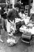 登錄號:KH2006.014.0248藏品圖，第1張