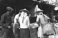 登錄號:KH2006.014.0249藏品圖，第1張