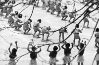 登錄號:KH2006.014.0287藏品圖，第1張