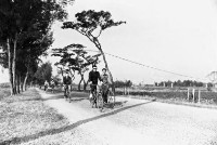 登錄號:KH2006.014.0288藏品圖，第1張