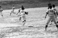 登錄號:KH2006.014.0303藏品圖，第1張