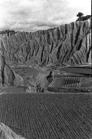 登錄號:KH2006.014.0374藏品圖，第1張