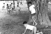 登錄號:KH2006.014.0401藏品圖，第1張