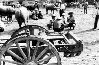 登錄號:KH2006.014.0448藏品圖，第1張