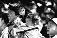 登錄號:KH2006.014.0458藏品圖，第1張