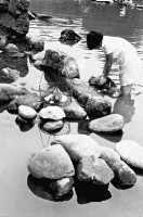 登錄號:KH2006.014.0473藏品圖，第1張