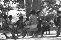 登錄號:KH2006.014.0482藏品圖，第1張