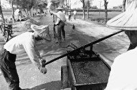 登錄號:KH2006.014.0491藏品圖，第1張