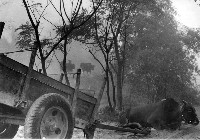 登錄號:KH2006.014.0495藏品圖，第1張