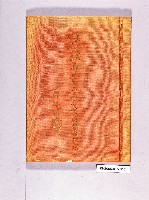 登錄號:KH2006.016.0015藏品圖，第1張