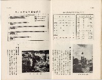 登錄號:KH2006.019.0005藏品圖，第12張