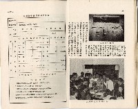 登錄號:KH2006.019.0005藏品圖，第17張