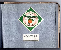 登錄號:KH2006.021.0010藏品圖，第51張