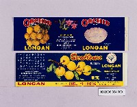 登錄號:KH2006.024.0009藏品圖，第1張