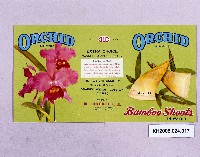 登錄號:KH2006.024.0017藏品圖，第1張