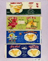 登錄號:KH2006.024.0018藏品圖，第1張