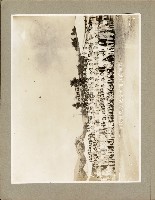 登錄號:KH2006.028.0001藏品圖，第55張