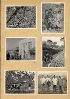 登錄號:KH2006.028.0002藏品圖，第50張