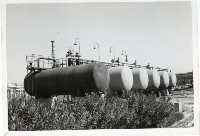 登錄號:KH2006.028.0004藏品圖，第116張