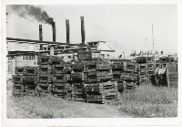 登錄號:KH2006.028.0004藏品圖，第203張