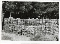 登錄號:KH2006.028.0004藏品圖，第206張