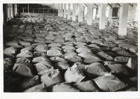 登錄號:KH2006.028.0004藏品圖，第212張