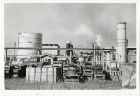 登錄號:KH2006.028.0004藏品圖，第216張