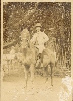 登錄號:KH2006.028.0005藏品圖，第10張