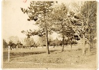 登錄號:KH2006.028.0006藏品圖，第33張