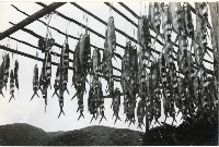 登錄號:KH2006.028.0007藏品圖，第6張