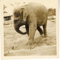 登錄號:KH2006.028.0008藏品圖，第2張